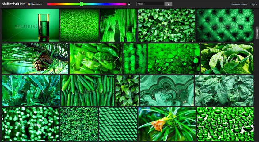 Shutterstock Spectrum Shutterstock Spectrum